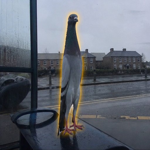LONGBOI at the original rainy bus stop